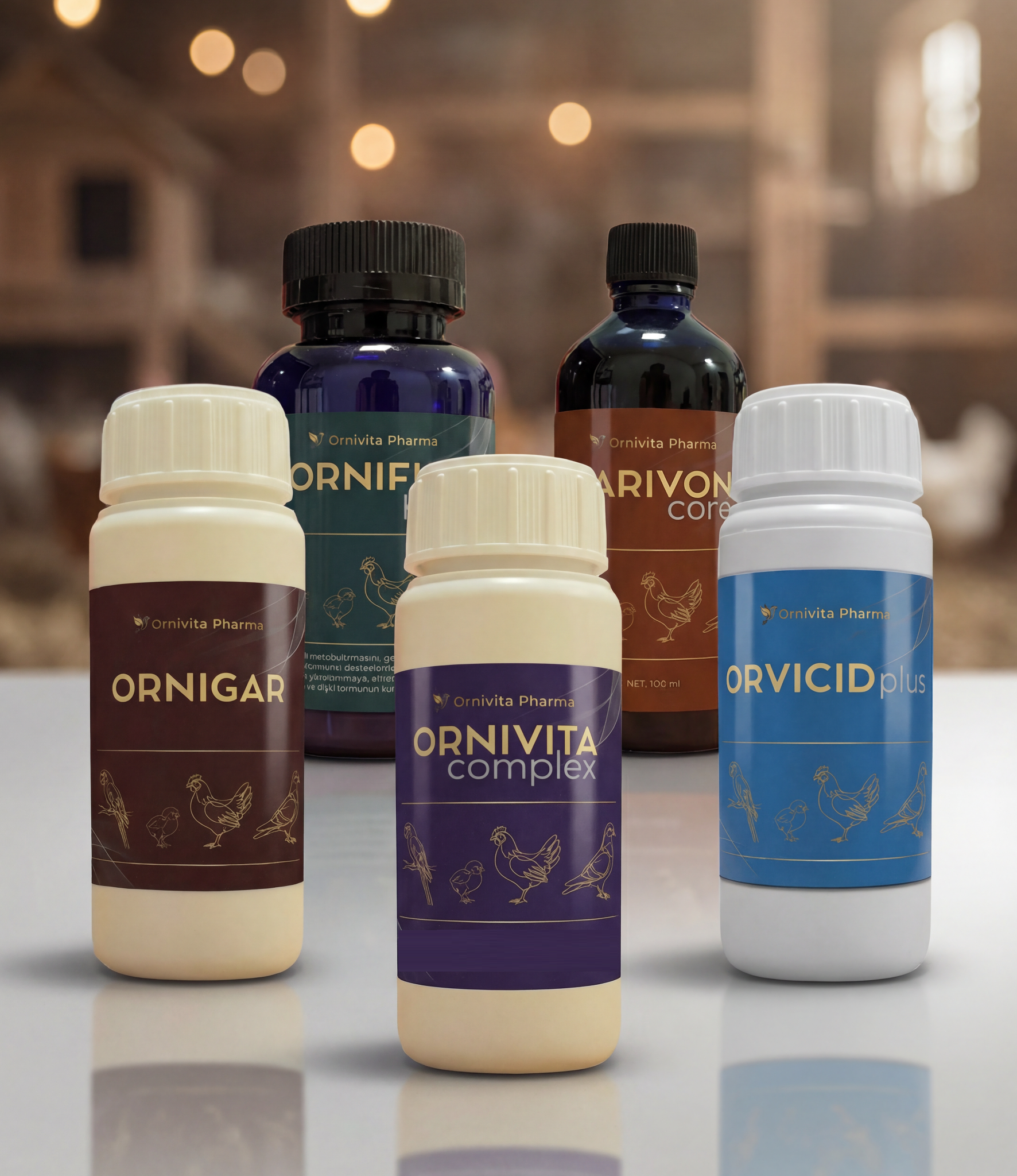 Bakım, Yarış ve Destek Setleri