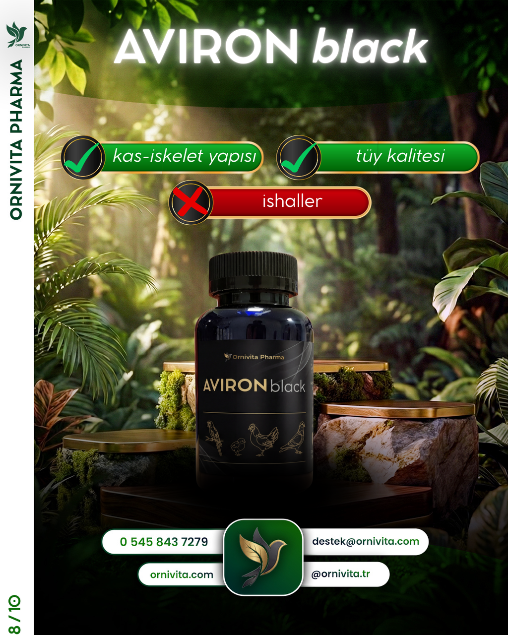 Aviron Black - Sindirim Desteği