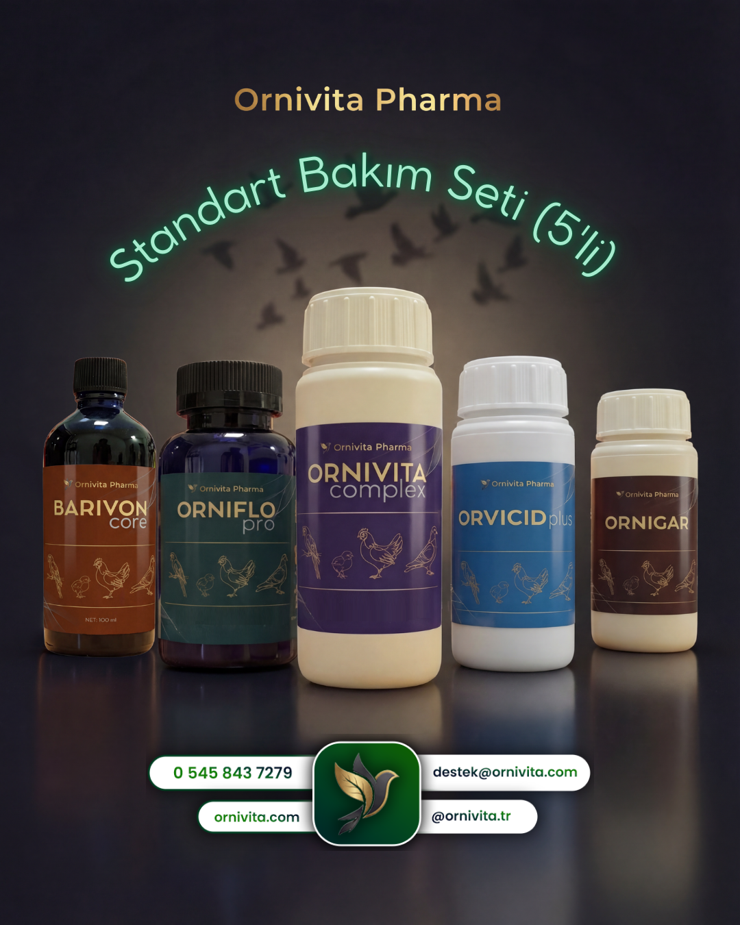 Standart Bakım Seti (5'li)