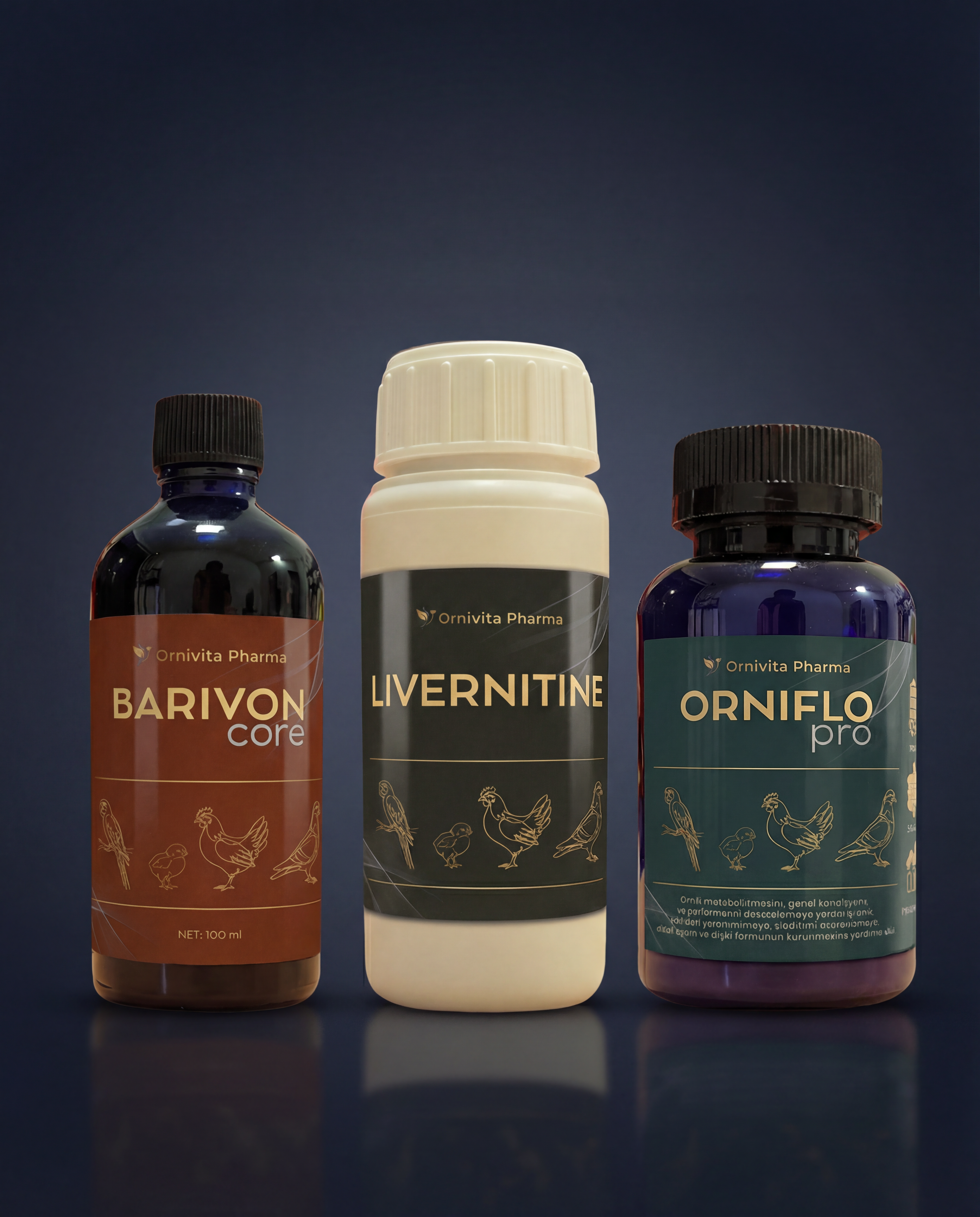 Karaciğer-Bağırsak Konfor Seti (3'lü) - Kargo Dahil