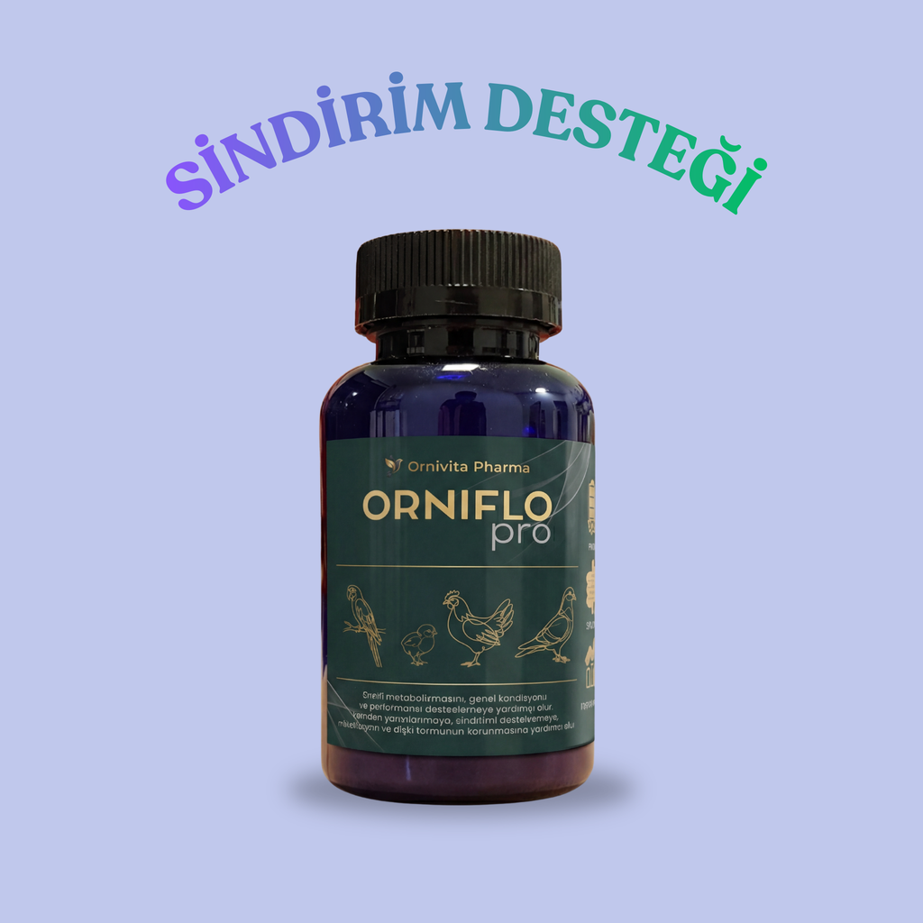 Orniflo Pro - Probiyotik