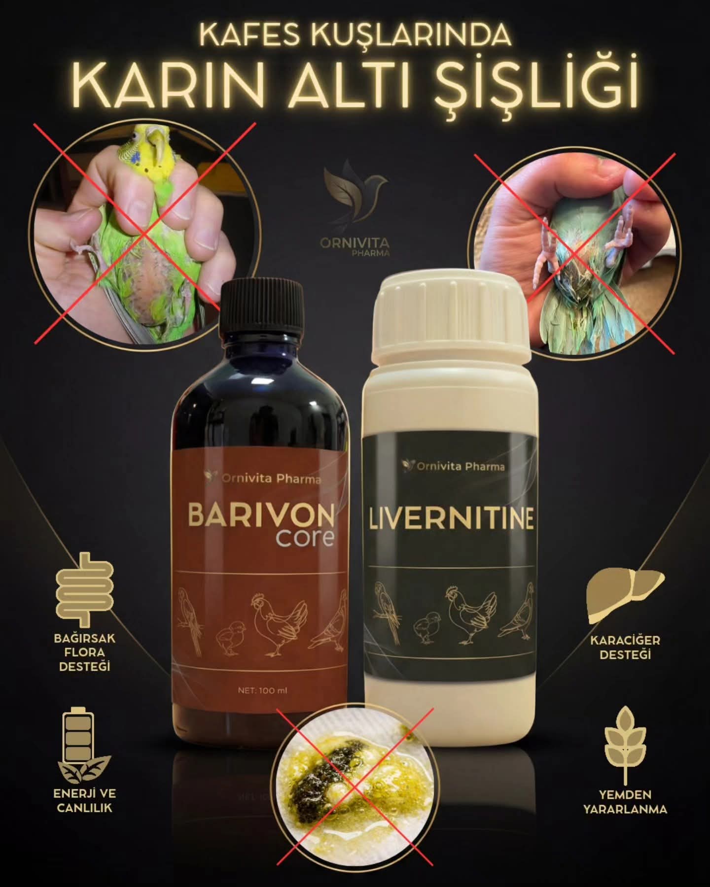 Egzotik Konfor Seti (2'li)